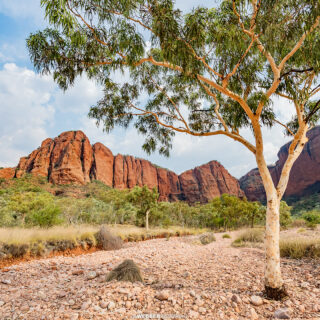 This world environment day, ask yourself, what would Sir David do?

"It's surely our responsibility to do everything within our power to create a planet that provides a home not just for us, but for all life on Earth."

"The final chapter is ours to write. We know what we need to do. What happens next is up to us."

- David Attenborough

It's time to be the change you want to see.

#WorldEnvironmentDay #Conservation #Biodiversity #Purnululu #EchidnaChasm #BungleBungles #TheKimberleyAustralia #WanderOutYonder #WesternAustralia #ThisIsWA #AusGeo @WAParksWildlife @ExploreParksWA @WesternAustralia